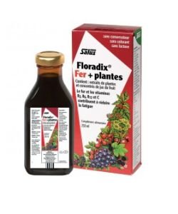 Floradix iron + plants, 500 ml